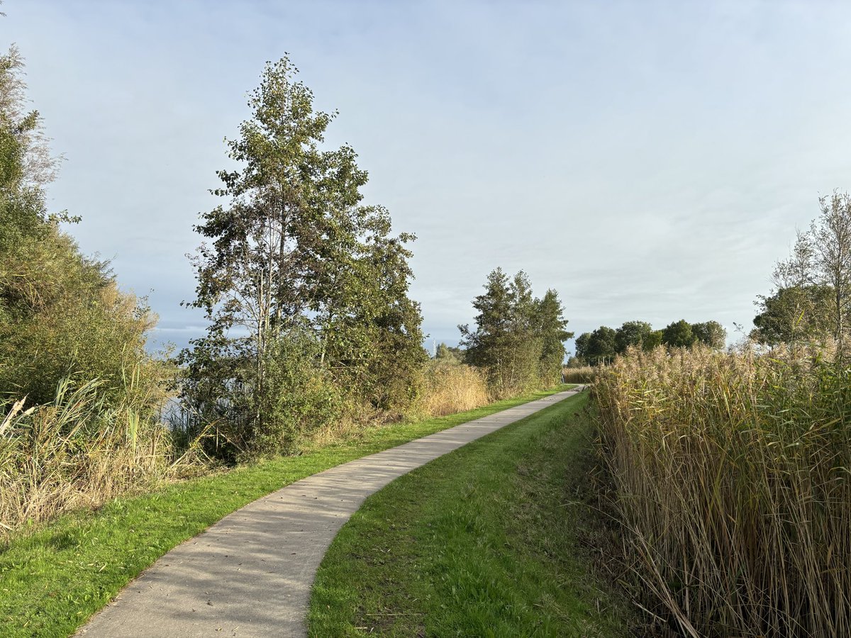 Mpvanderwal's tweet image. On the move by..  my Nikes.. 😅

I love it, hiking in my backyard 

#Zwolle #Stadshagen #OnTheMove