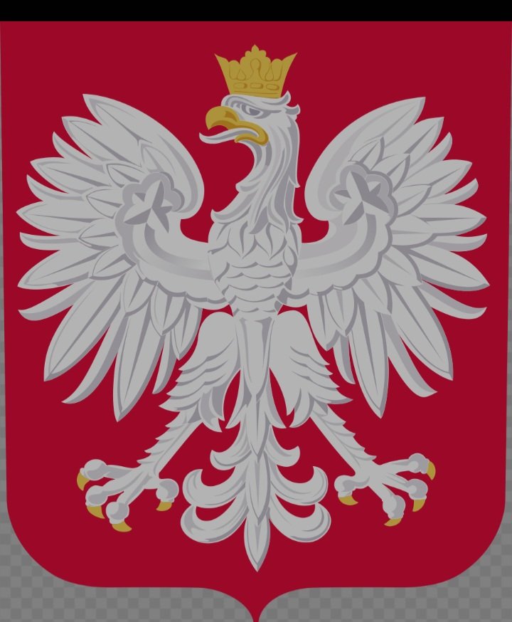 Richie_Gally_'s tweet image. Hungary &amp;amp; Poland's coat of arms have many symbols.
#FallenWorld