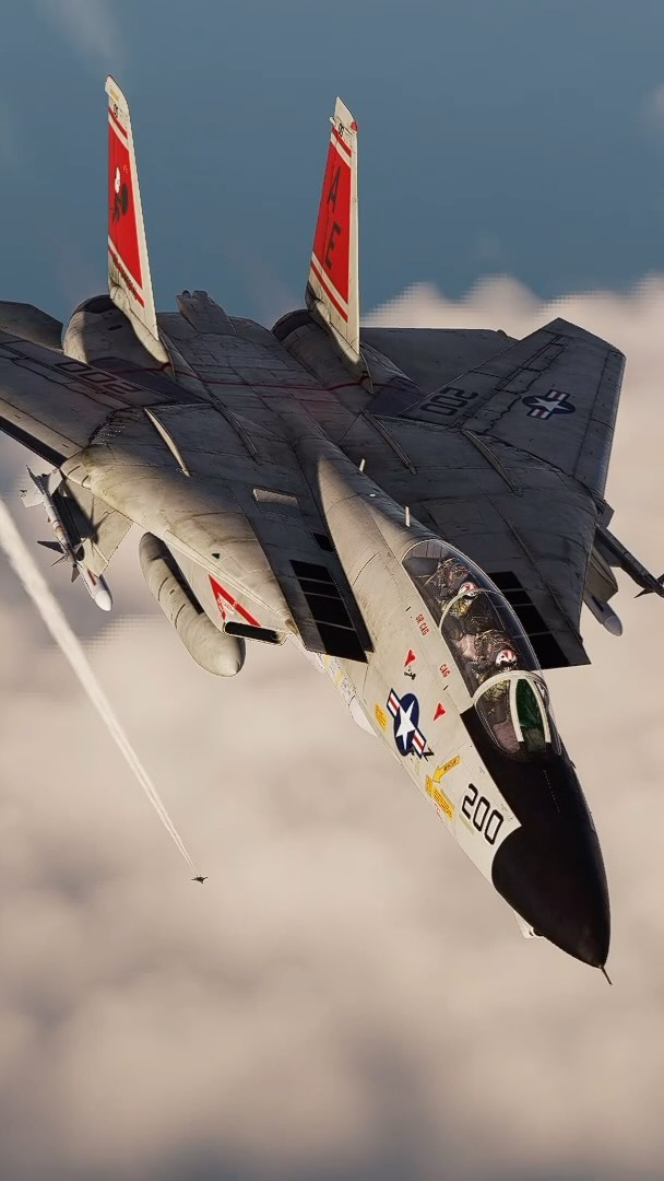 Fiona75975939's tweet image. #F14 #TomCat #dcs digital combat simulator