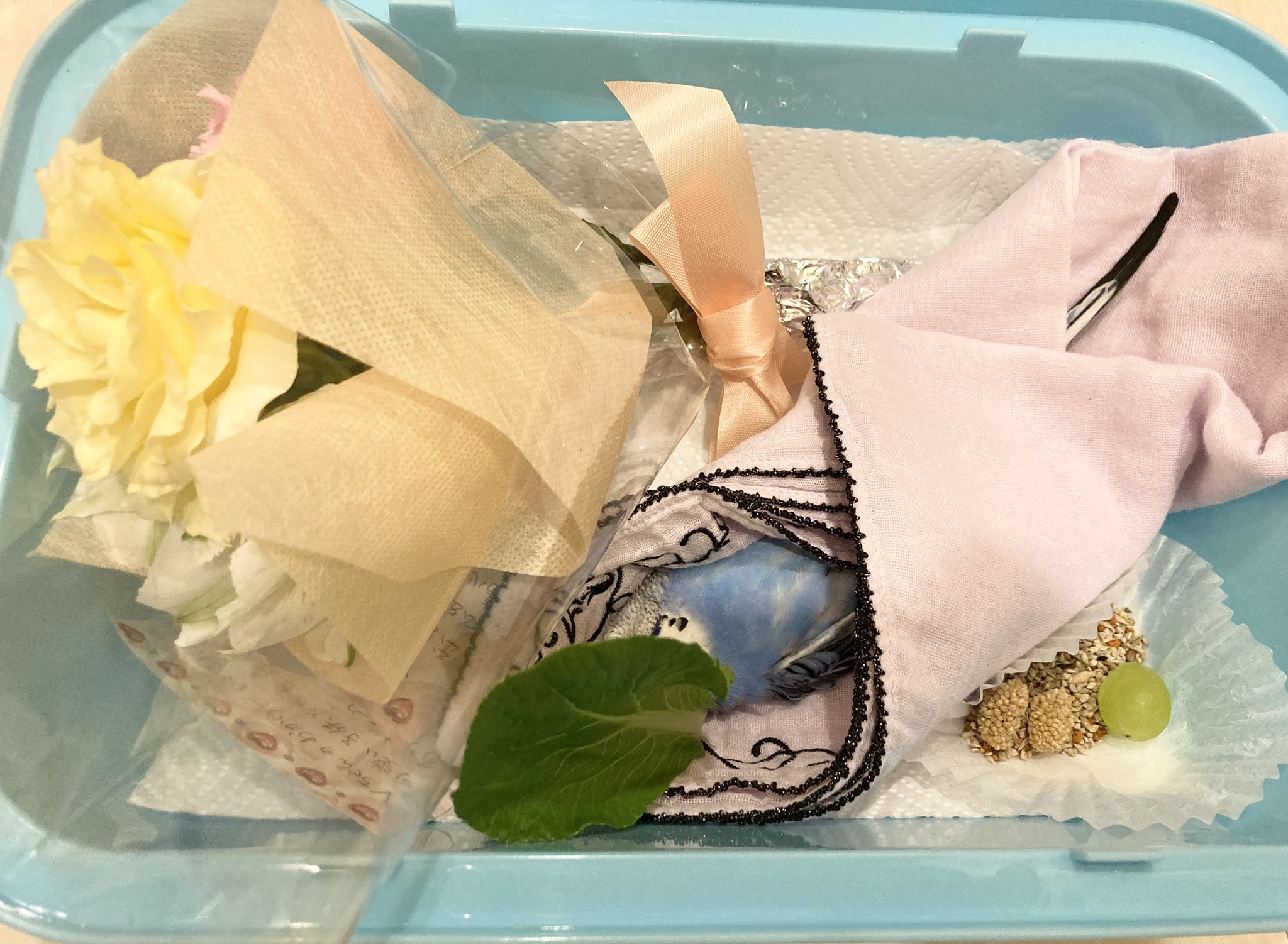 🌹DonDonHAPPYni🌹 on X: 