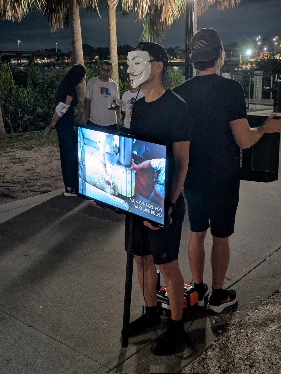 TomiKordic's tweet image. Cube of truth Tampa. Showing the public what happens in the evil animal exploitation industries. Please go vegan and end this needless suffering and killing! #vegan #anonymousforthevoiceless #cubeoftruth