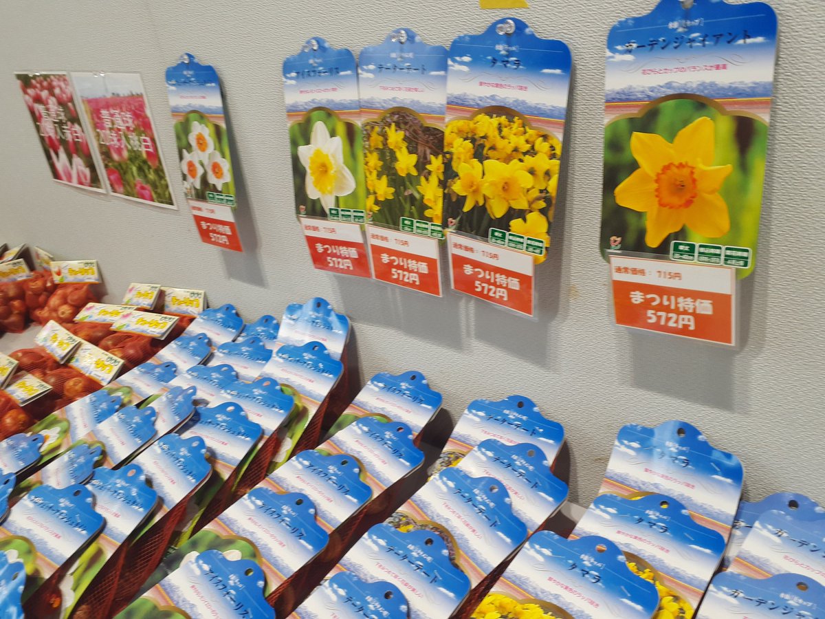 限定1セット】チューリップポーク 58缶（1缶419円）340g うす