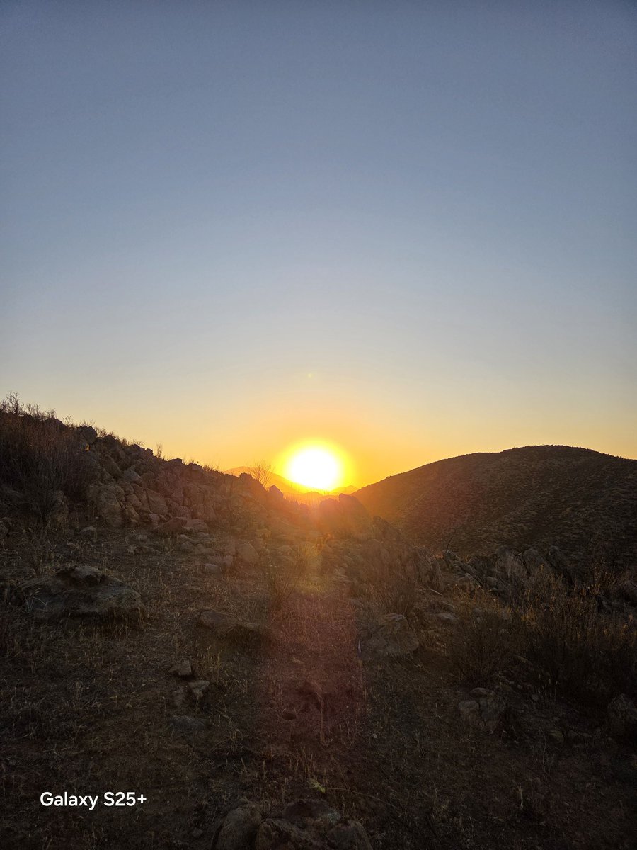 Samuplayer tweet media