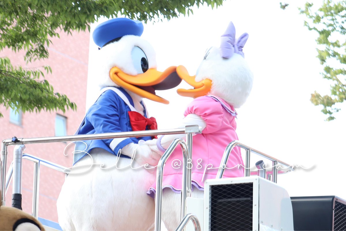 38pon_cam's tweet image. 🪿💙前橋祭り in ディズニーパレード💜②

ドナちゃんは来ると思ってたけど、デイジー見えた瞬間、ドナデジ見れる！ってなって震えたし泣いた😭💖
ドナデジのイチャイチャ見れて、眼福。幸せすぎました🥰✨

#前橋祭り #ディズニー #ディズニー好きな人と繋がりたい #canoneoskissx10