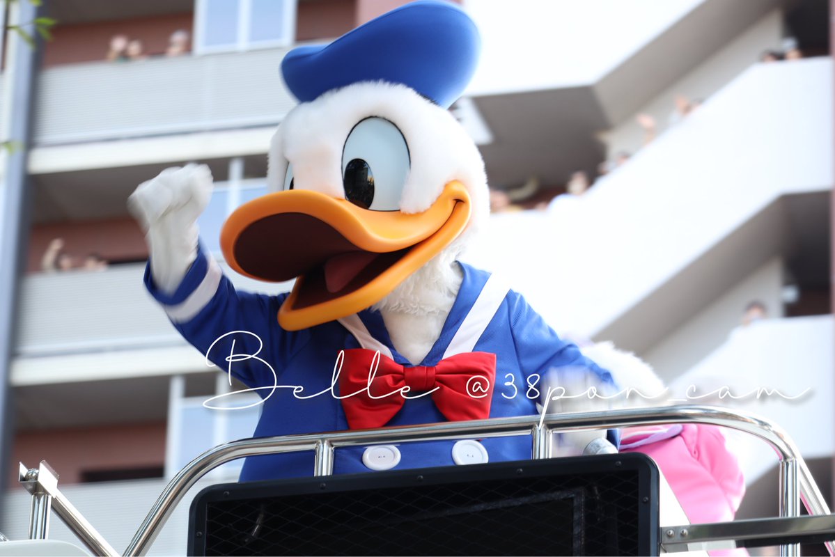 38pon_cam's tweet image. 🪿💙前橋祭り in ディズニーパレード💜②

ドナちゃんは来ると思ってたけど、デイジー見えた瞬間、ドナデジ見れる！ってなって震えたし泣いた😭💖
ドナデジのイチャイチャ見れて、眼福。幸せすぎました🥰✨

#前橋祭り #ディズニー #ディズニー好きな人と繋がりたい #canoneoskissx10