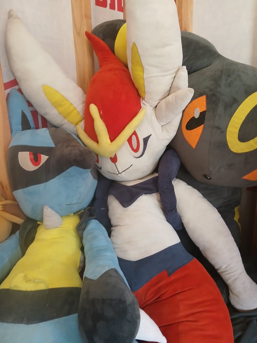 New home and new adventure 
#Cinderace #Lucario #Umbreon 
#plushie