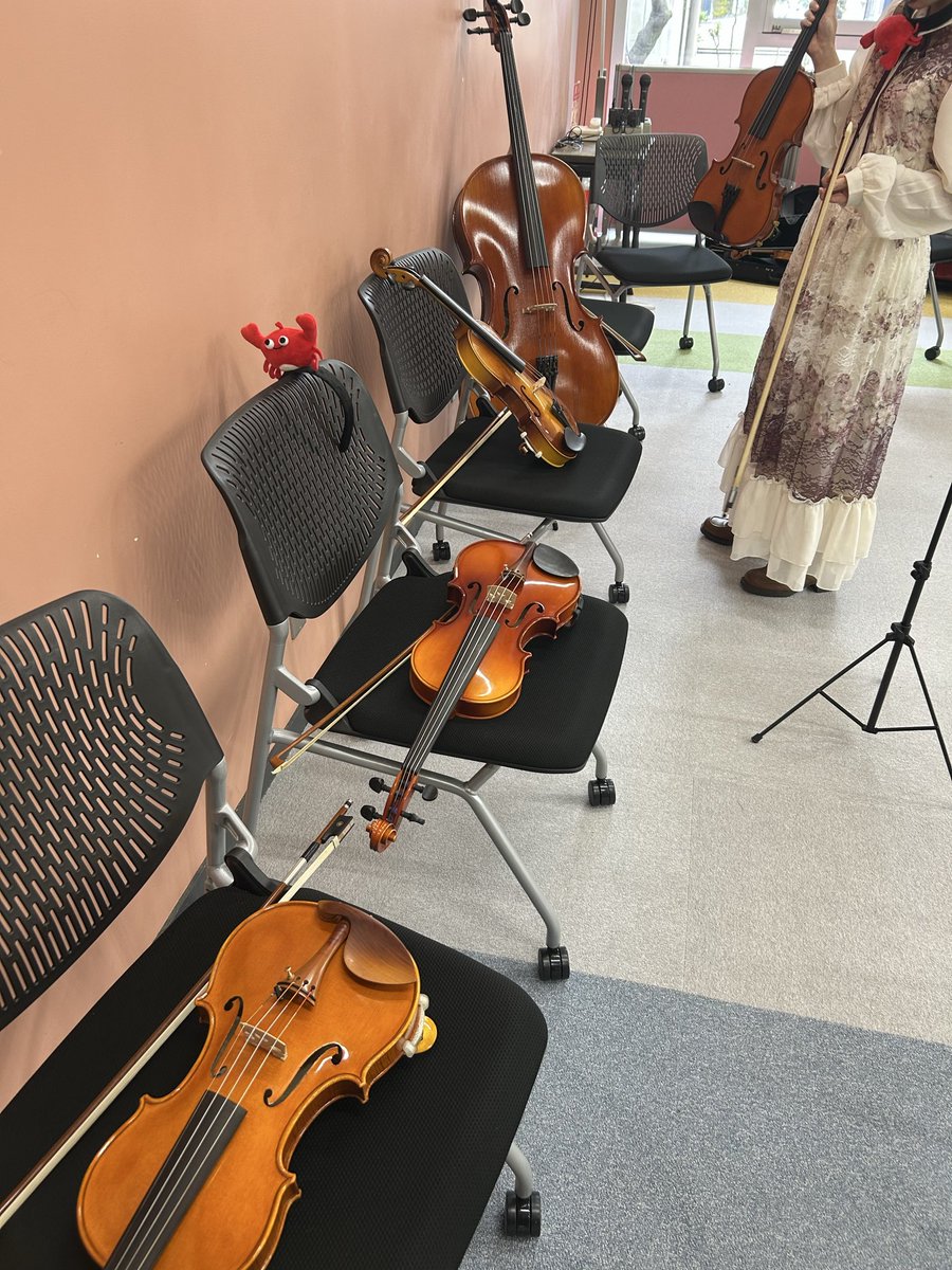 Physalis_tohtec's tweet photo. 今日も13:30〜演奏いたします🎶

それより見て、この子達可愛く無い？？ https://t.co/giMrEbm7FV