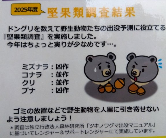霧雨が濃かった昨日、日原〜林道を歩いてきました
日用雑貨店や土産物屋が無くなった街道
不老長寿の湧き水
村外れにある観音様風の石柱（たぶん鍾乳石）

紅葉時期になったら、タワ尾根→長沢背稜→水松山→天祖山の周回をしてみたいです
※水松は「あららぎ」と読みます