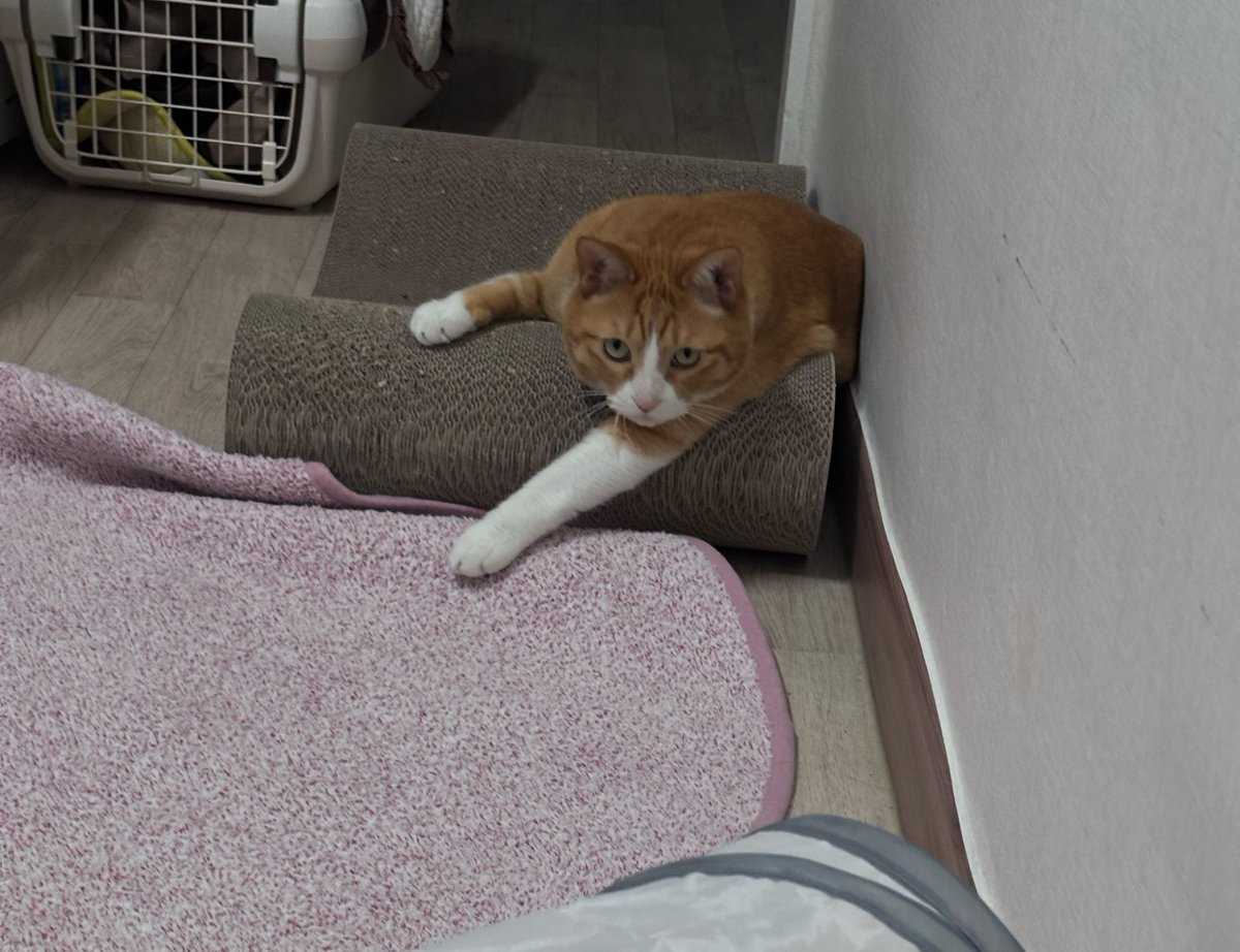 김민국 (@minkookcheese) on Twitter photo 