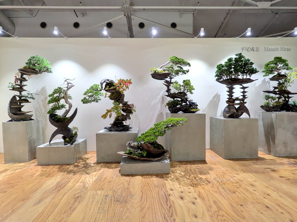 アートフェスティバル「MEET YOUR ART」3日目🎨

本日は雨は降っていなのでとても回りやすいですね☁

盆栽の出展場所は「ART FAIR - MEET YOUR ARTISTS」の2階です🌳