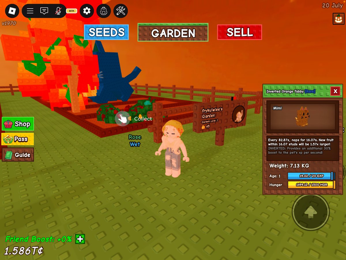 gramdig's tweet image. huge orange tabby 120k avail rekber