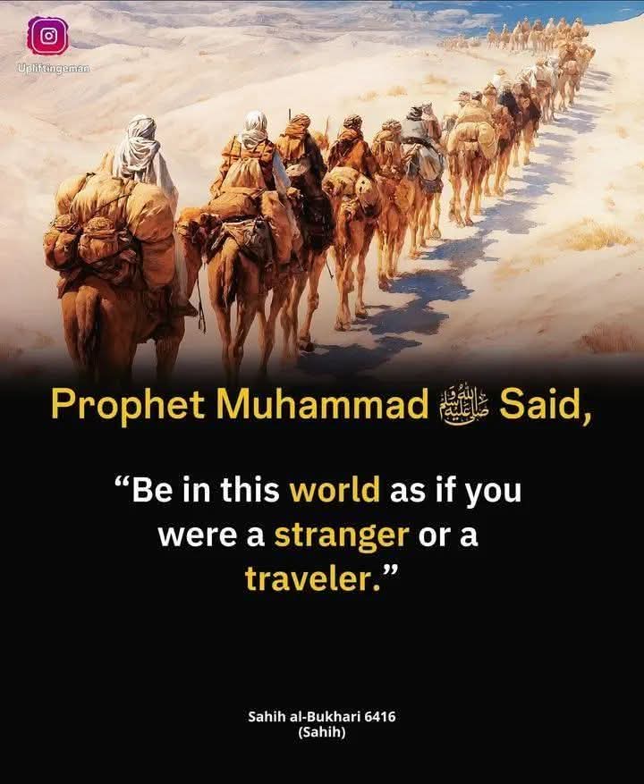 muhammaad_Pasha's tweet photo. Hadith of the day 🙏🏽 https://t.co/FJBJHThoPa