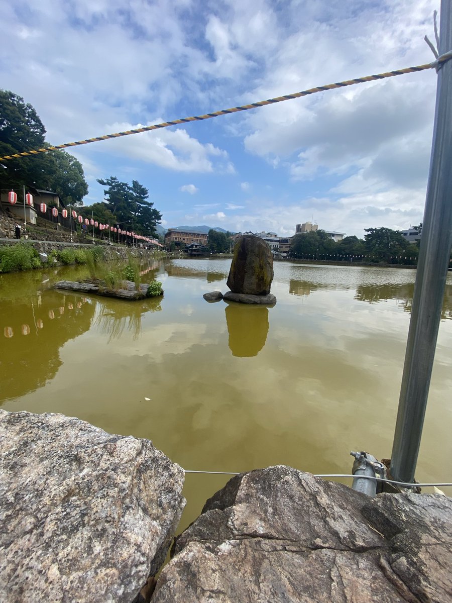 _EternalKnight's tweet image. //me compre una cámara, mi hermano aprovechó para traerme de su fotógrafo pero también e tomado algunas de mi gusto personal