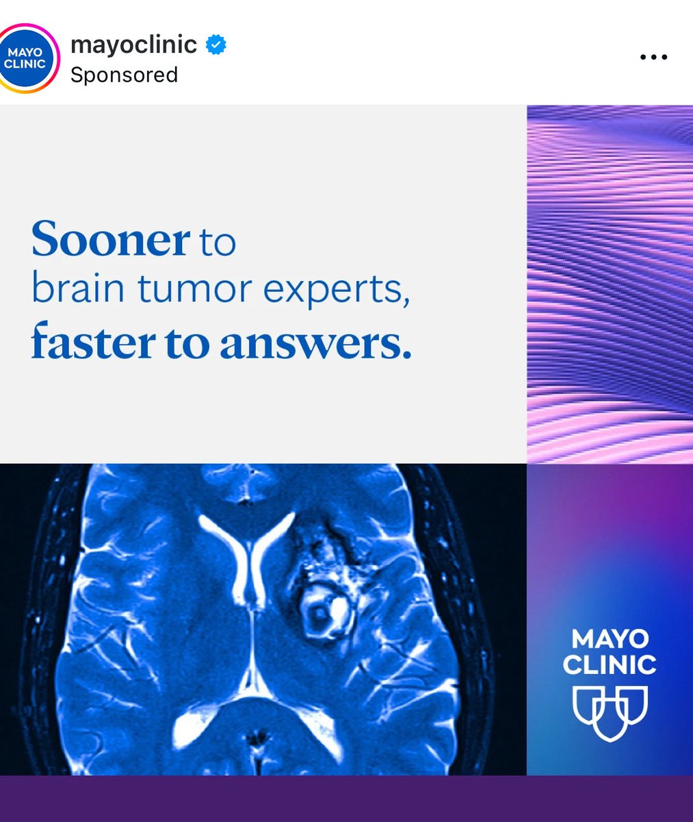 gelareh-zadeh tweet media