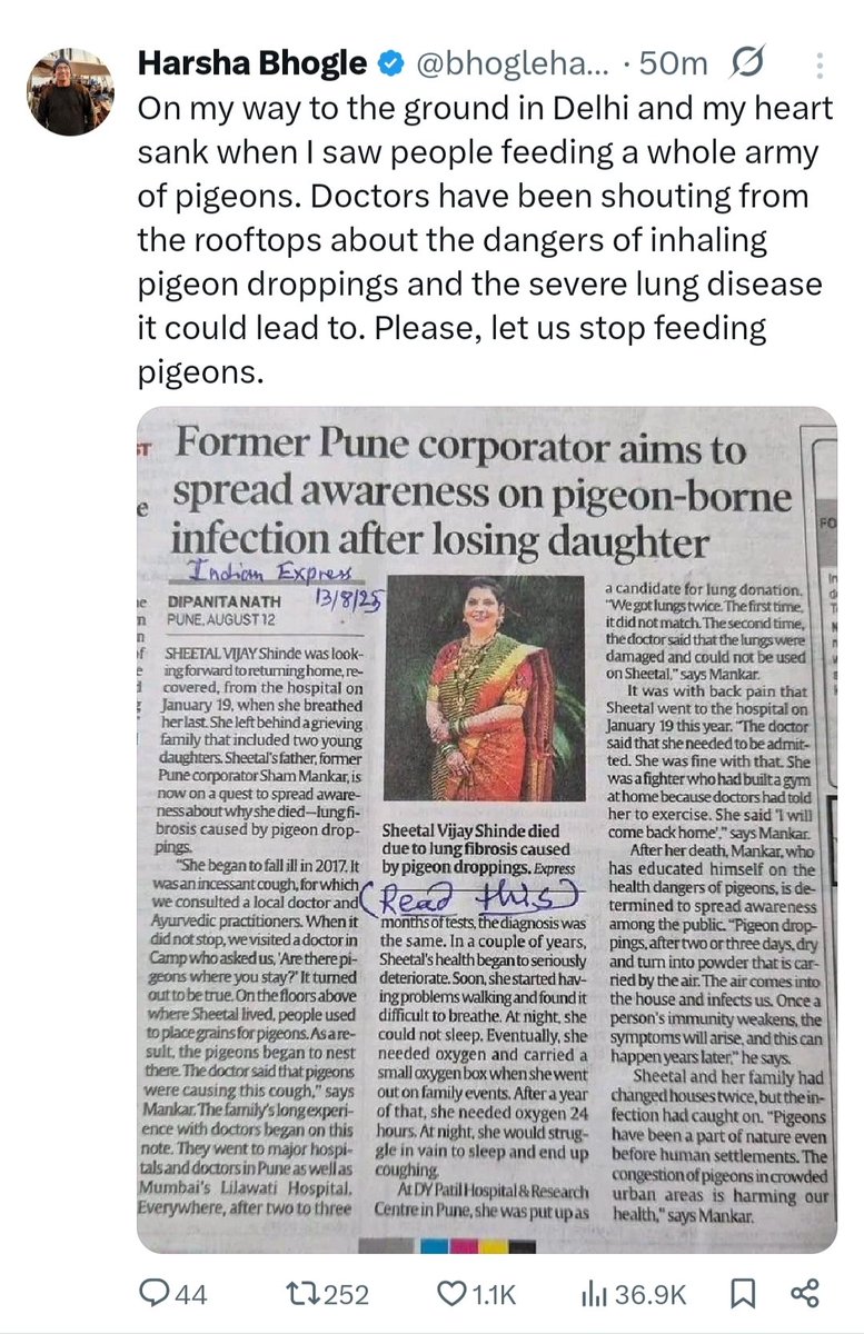 Manish16Rai's tweet photo. Mass pigeon feeding isn’t kindness, but it causes serious harm — to public health, buildings, and even the birds themselves.
The awareness about its implications must increase — especially among those who mass-feed pigeons for religious or social reasons. 🕊️🚫 https://t.co/QockYhyUIf