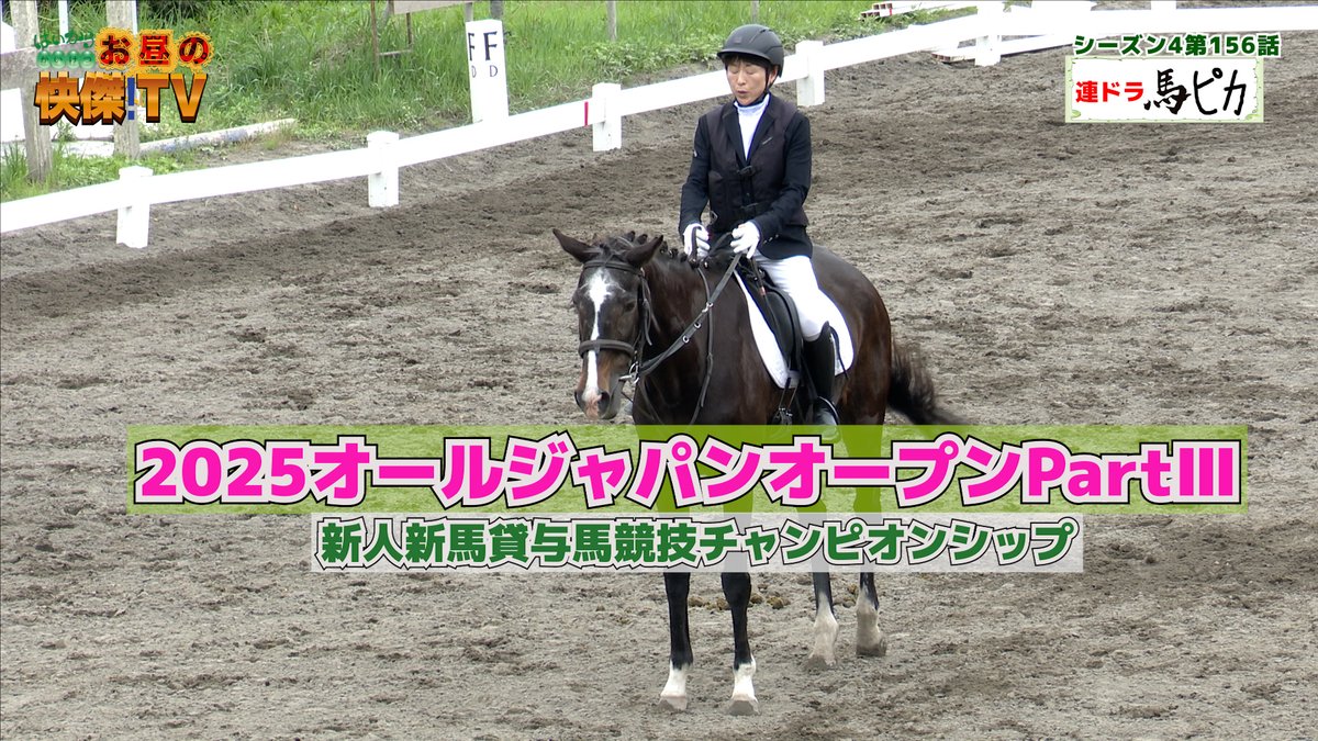 bashadaigaku's tweet image. 10/12放送の「お昼の快傑TV」のコーナー「馬ピカ」の競技会ハイライトシーンほかむつざわ町自慢話その1/東京・亀戸天神通りの名物ナポリピザ
youtu.be/B_rolyQK2iI
#お昼の快傑TV 　#馬ピカ　#むつざわ町　#乗馬クラブ　#田中憲一　#華利休　#亀ゲリータ
#道の駅むつざわ #亀戸天神