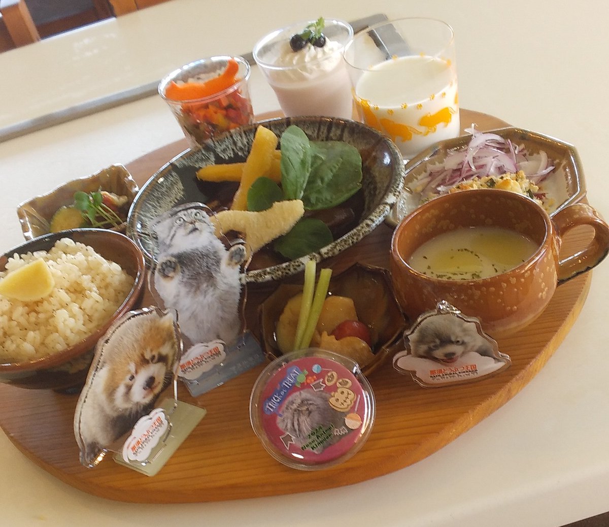 大福とグミの仔
午前中一瞬逢えました💕
すくすく育つ様に
アジアの森のパイセン
ポリーおばあちゃん😺も
見守ってるよ🐾
#那須どうぶつ王国 
#なすべん 
#アジアの森 
#レッサーパンダの赤ちゃん 
#名前はまだない 
#レッサーパンダ 
#私がポリー