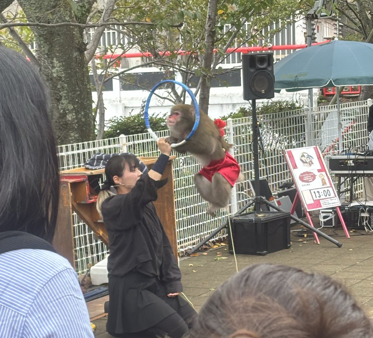 もこ先 外配信してんねや