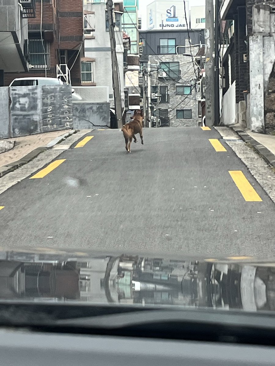 ⋆͛*͛ ͙͛시닙⋆͛*͛ ͙͛ tweet media