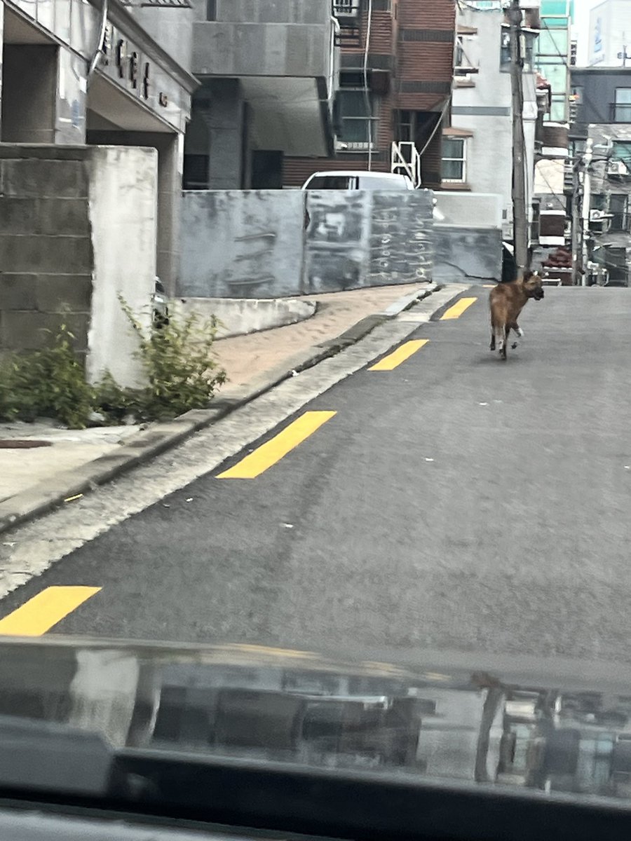 ⋆͛*͛ ͙͛시닙⋆͛*͛ ͙͛ tweet media