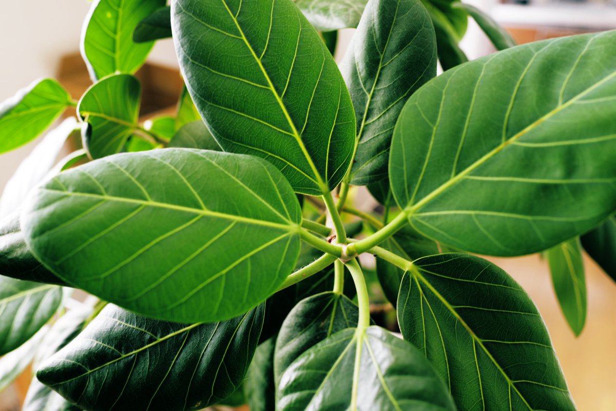 elmax_fun's tweet image. ライカQシリーズを先日更新したよ
（最近、SNSにあげる写真は撮っていないのでiPhoneあるし、、正直、GRⅣと迷ったよ）