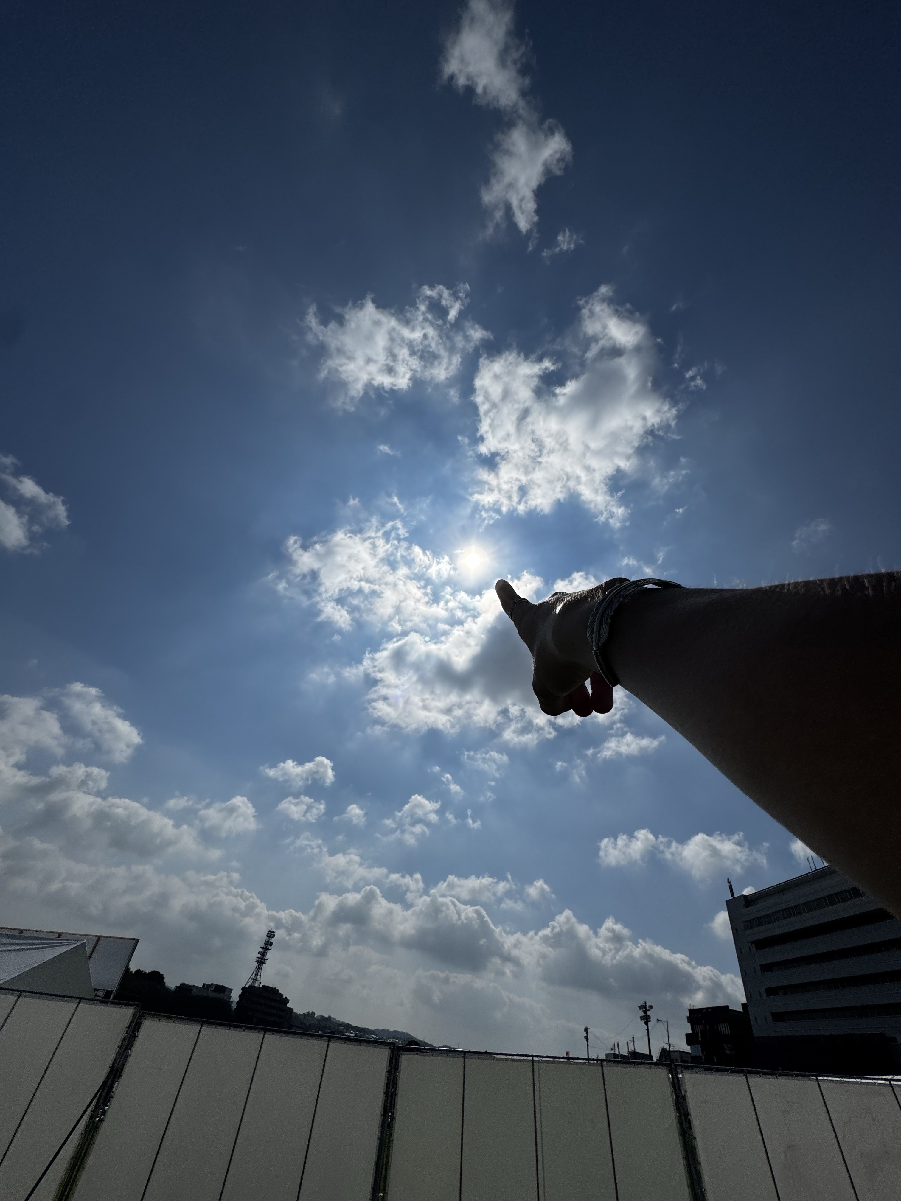 あんずやページ あんず (@anzu_anzy) / X