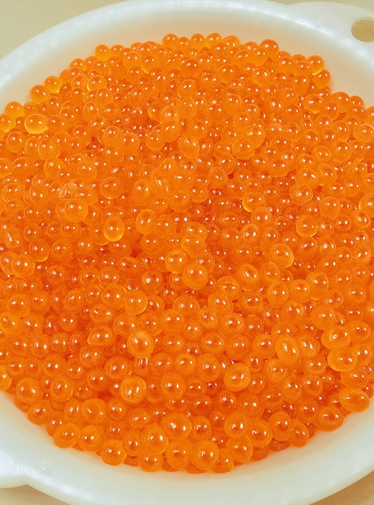 アクセサリー Salmon roe セイゴ水産 on X