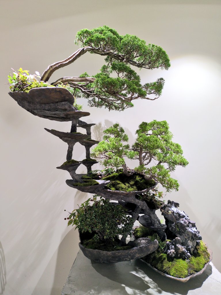 生の盆栽のリアルな躍動感を、ぜひ体感しにいらしてください🌳

#MEETYOURARTFESTIVAL2025