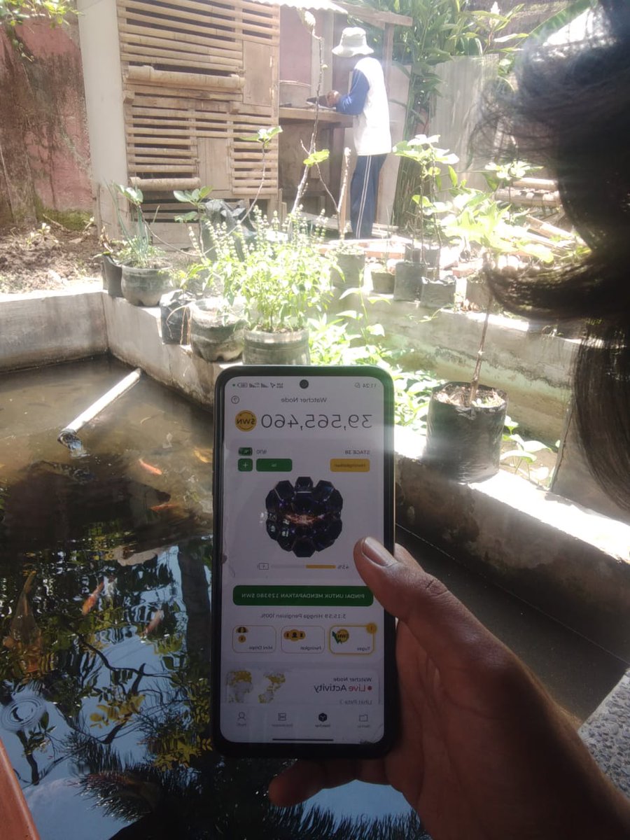 Stareosoul's tweet photo. Launching Watcher Node to secure @DeNetPro storage network, live from Garut! 
#watcherseverywherelaunching https://t.co/XeGC8QBUOr
