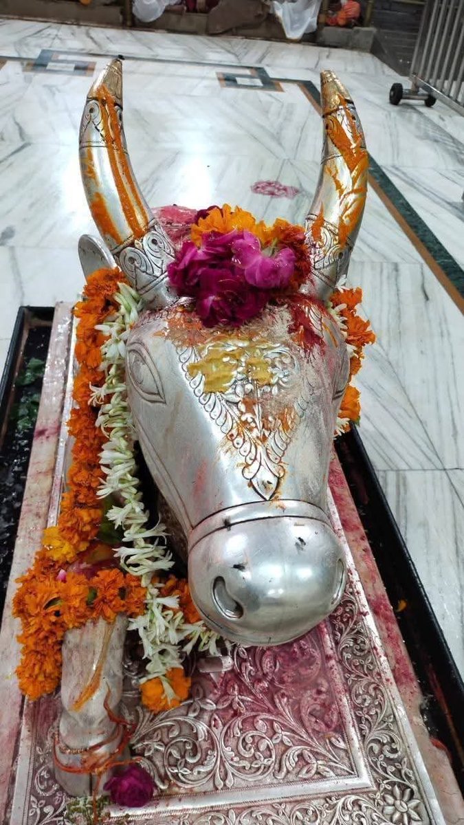 mohitpandit0's tweet image. Jay Nandi baba kya ho Prabhu 
Sabka bhala karo Malik
