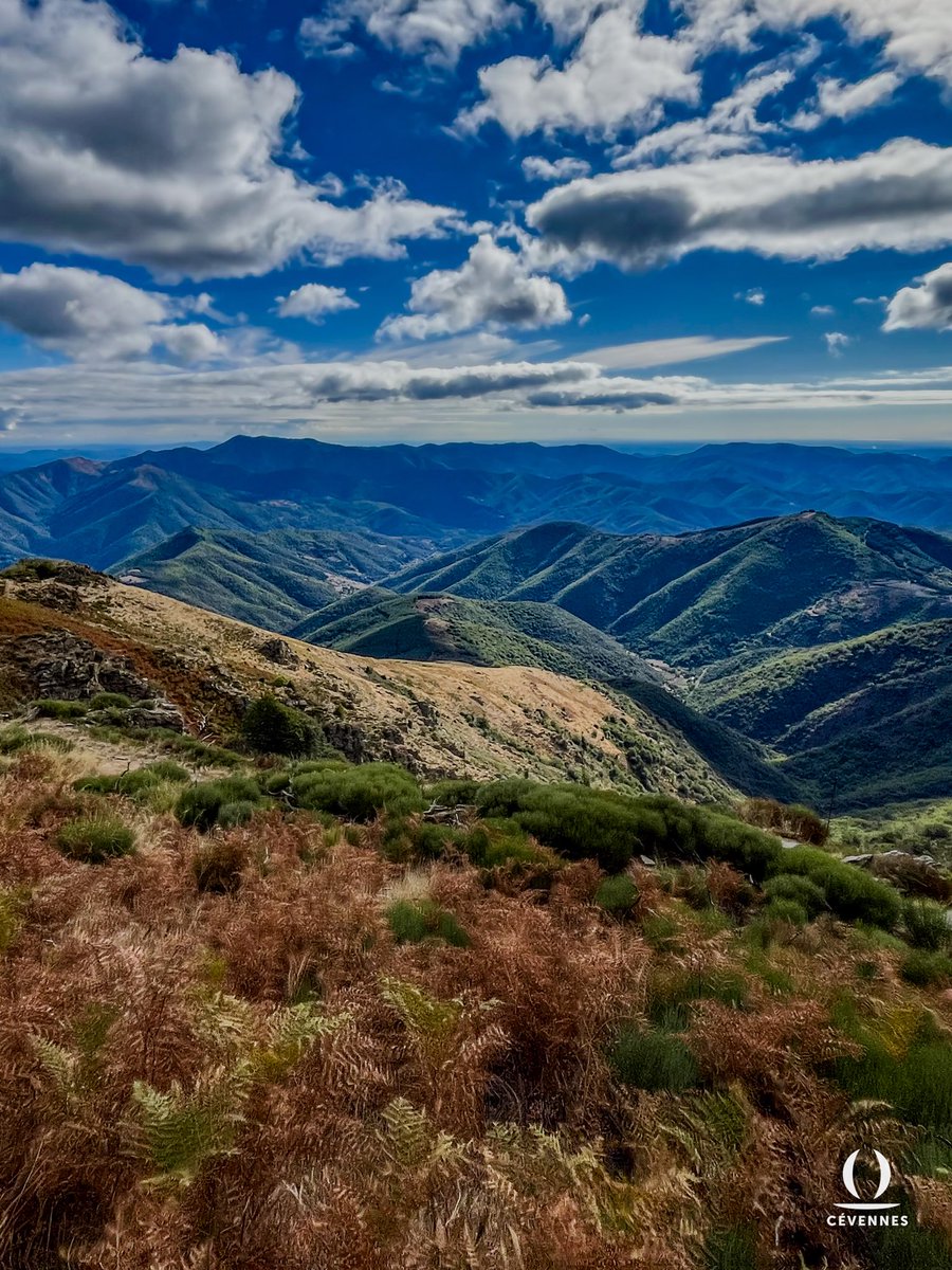 « Marcher dans une forêt entre deux haies de fougères transfigurées par l'automne, c'est cela un triomphe. Que sont à côté suffrages et ovations ? »
⛰️🍂⛅️
📖 Emil Cioran
📷 Samuel Chatard
🗺️ Val d’Aigoual
#Cévennes #Oraterra