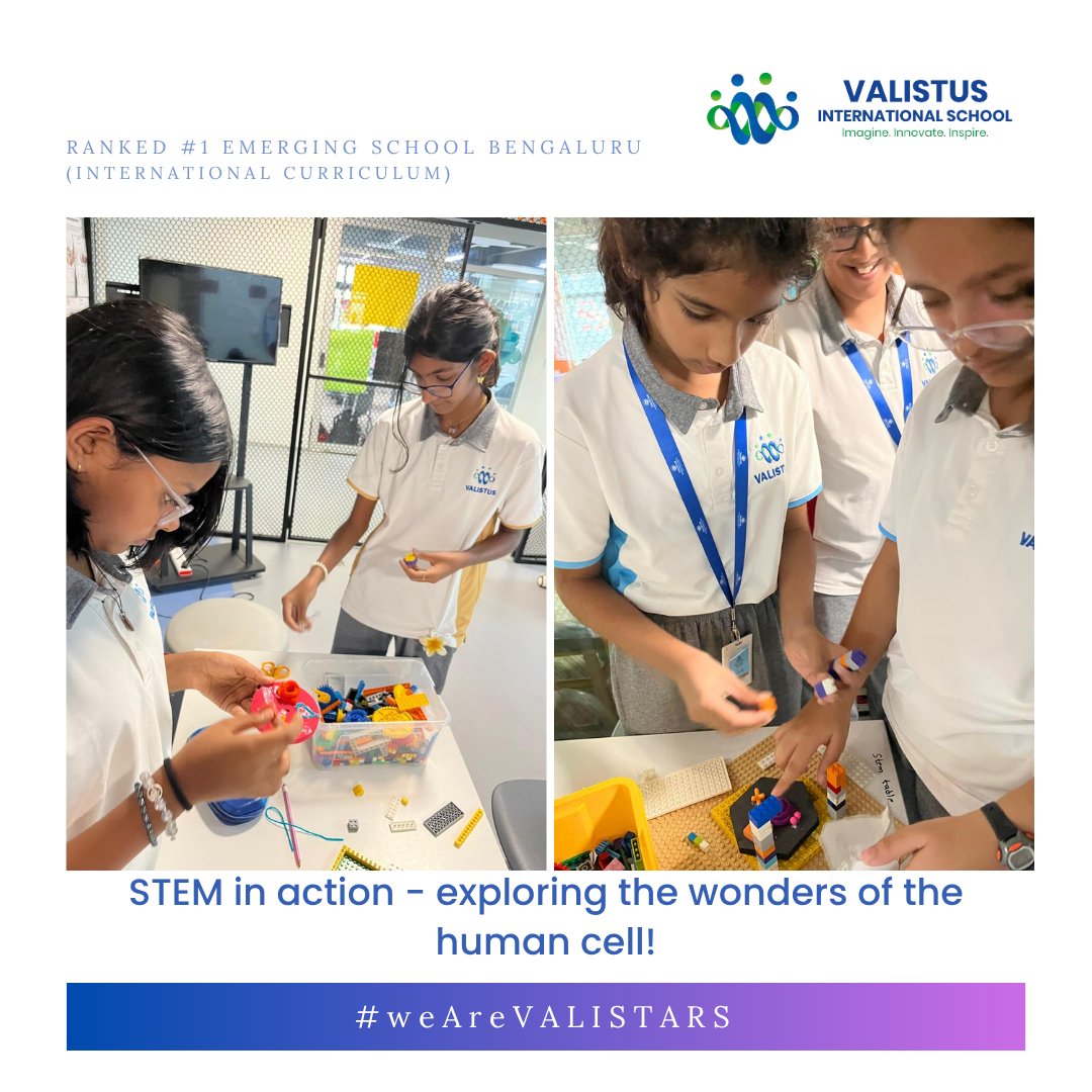 valistusschool's tweet image. Year 6 learners combined science & tech to create interactive human cell models! 🧬⚡ Hands-on STEM fun made learning dynamic, creativeand unforgettable. #STEMEducation #HumanCellModels #InteractiveLearning #ValistarLearners