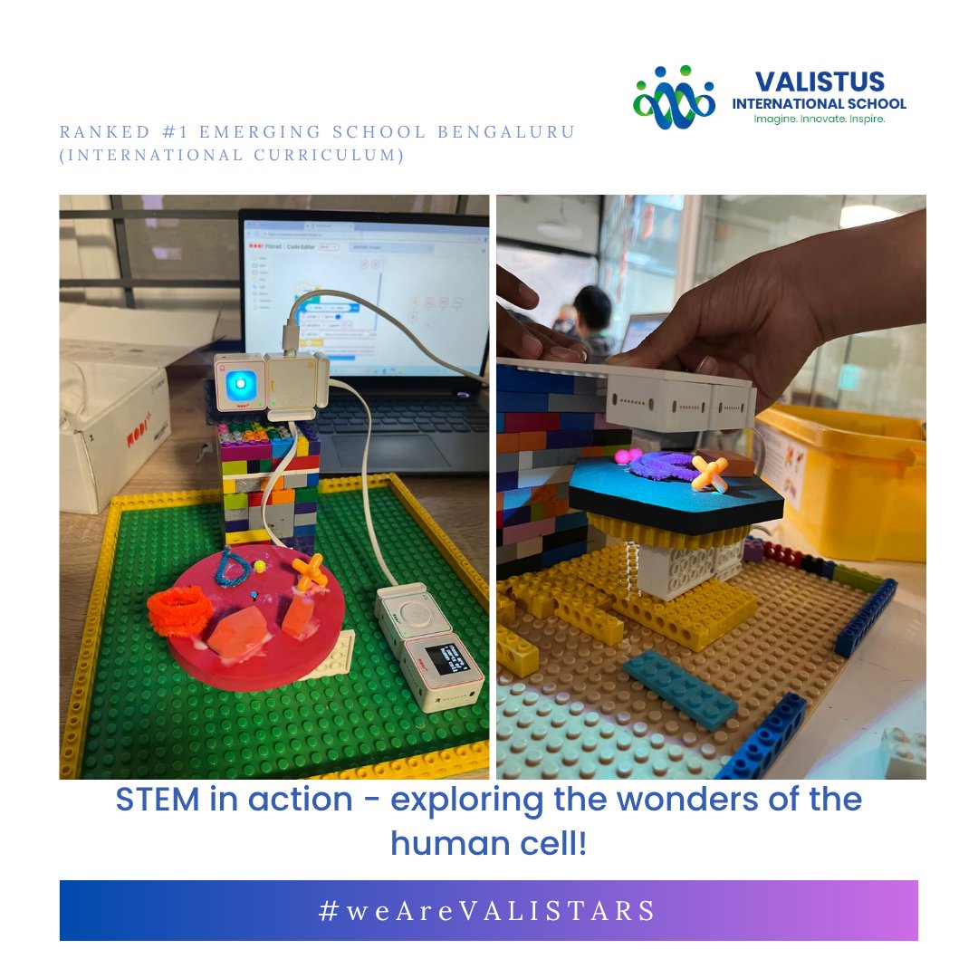 valistusschool's tweet image. Year 6 learners combined science & tech to create interactive human cell models! 🧬⚡ Hands-on STEM fun made learning dynamic, creativeand unforgettable. #STEMEducation #HumanCellModels #InteractiveLearning #ValistarLearners