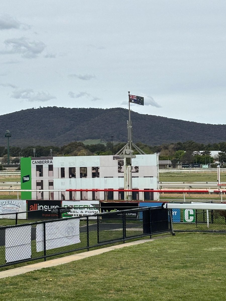 Thoroughbred Park tweet media