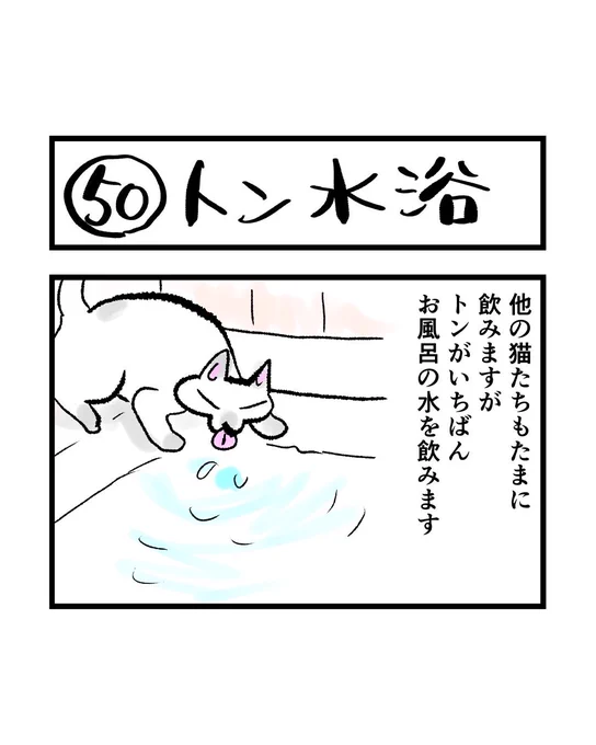 インスタ4コマ「私たちは猫猫している」更新されました。

2つくらい更新お知らせ忘れてて、記念すべき50回となっていました。

https://t.co/saVAsGTqP5 