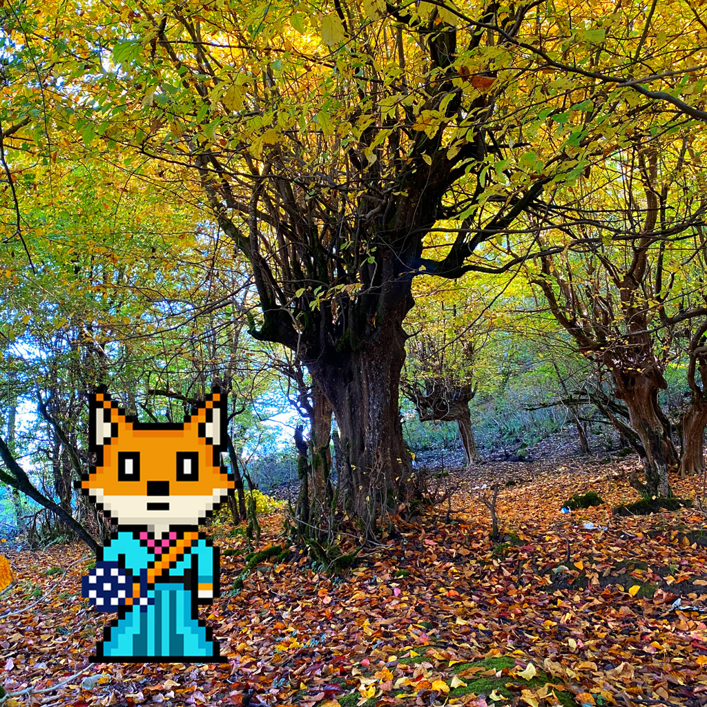 Sahar Moussavii🌞NFTNYC2025 tweet media