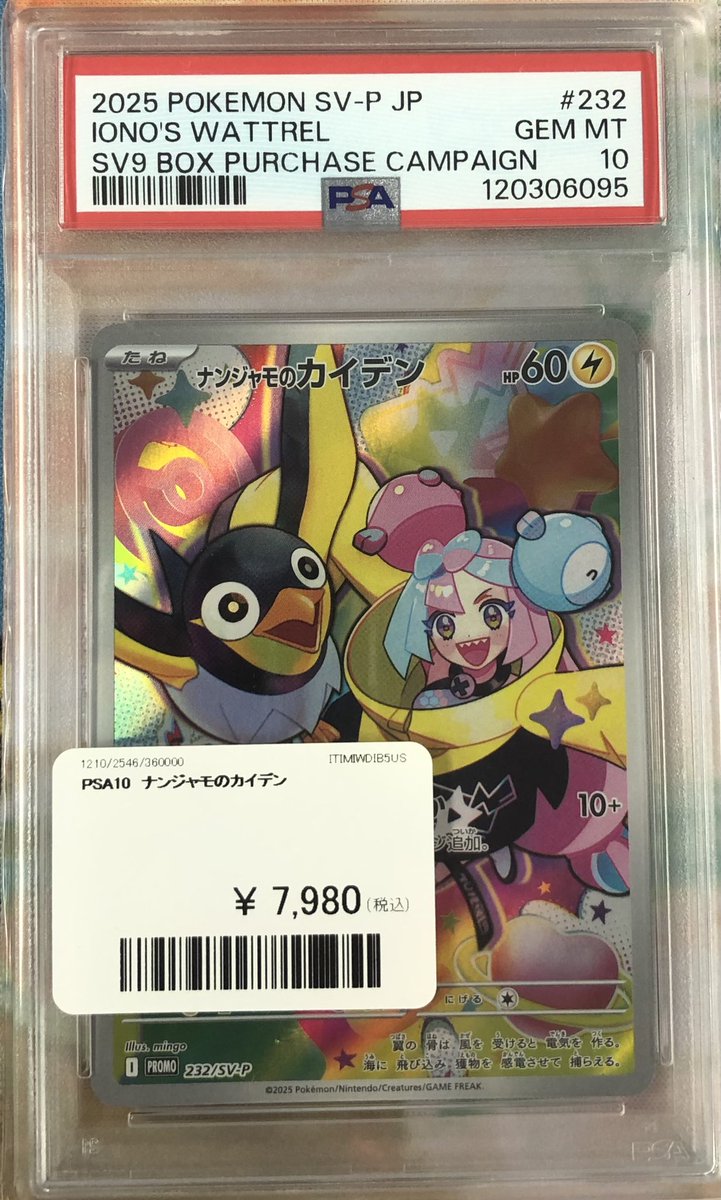 PDG Collector's Shop 秋葉原 on X: 