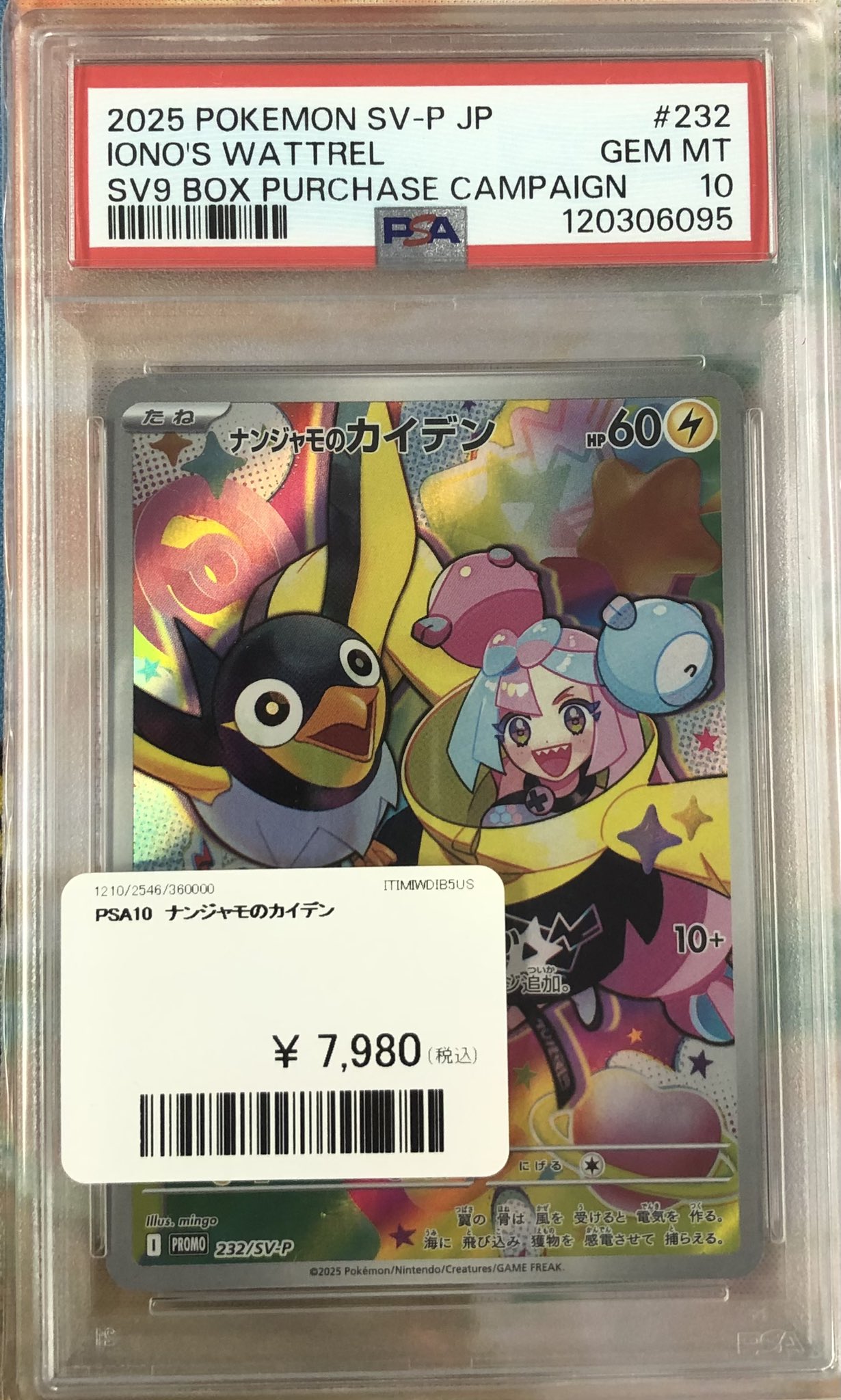 PDG Collector's Shop 秋葉原 on X: 