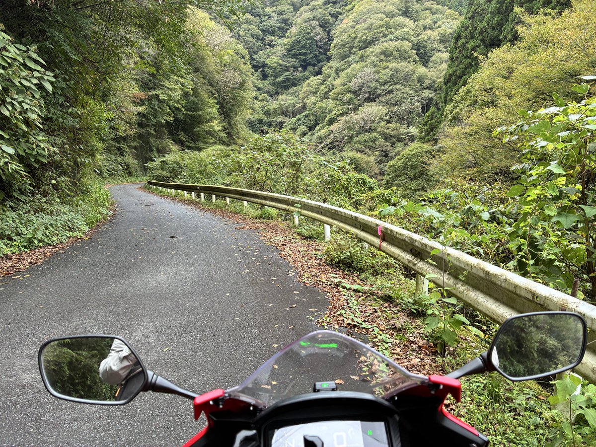 martin_wespot's tweet image. 出だしは

広い道だったんだけどな

車一台分の幅になって(；´Д`A

#バイク
#適当に走る