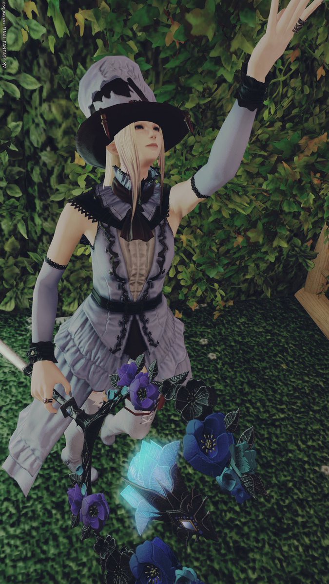 夜勤入りなので 今 おはようございます☀️

そして こんにちは✨

今日も 1日 無理なく過ごします🍀*゜

最近はPVPをやってから寝る が 日課です😌
 #FF14
 #エレゼン