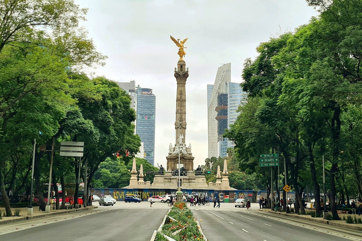 Sergio Manrique tweet media