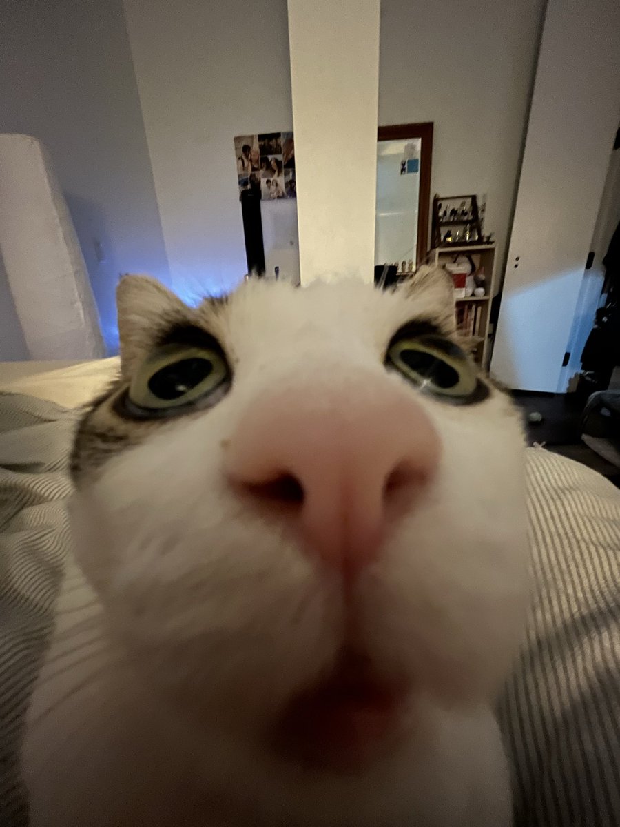 chance1084059's tweet image. 👁️👄👁️