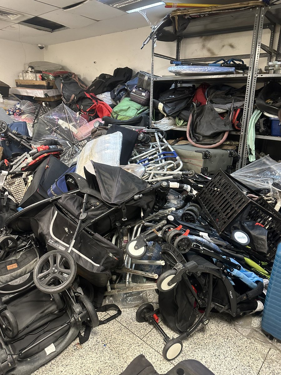 shefali saxena tweet media