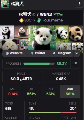 chowchow_bnb's tweet image. DEX PAID NOW !!!