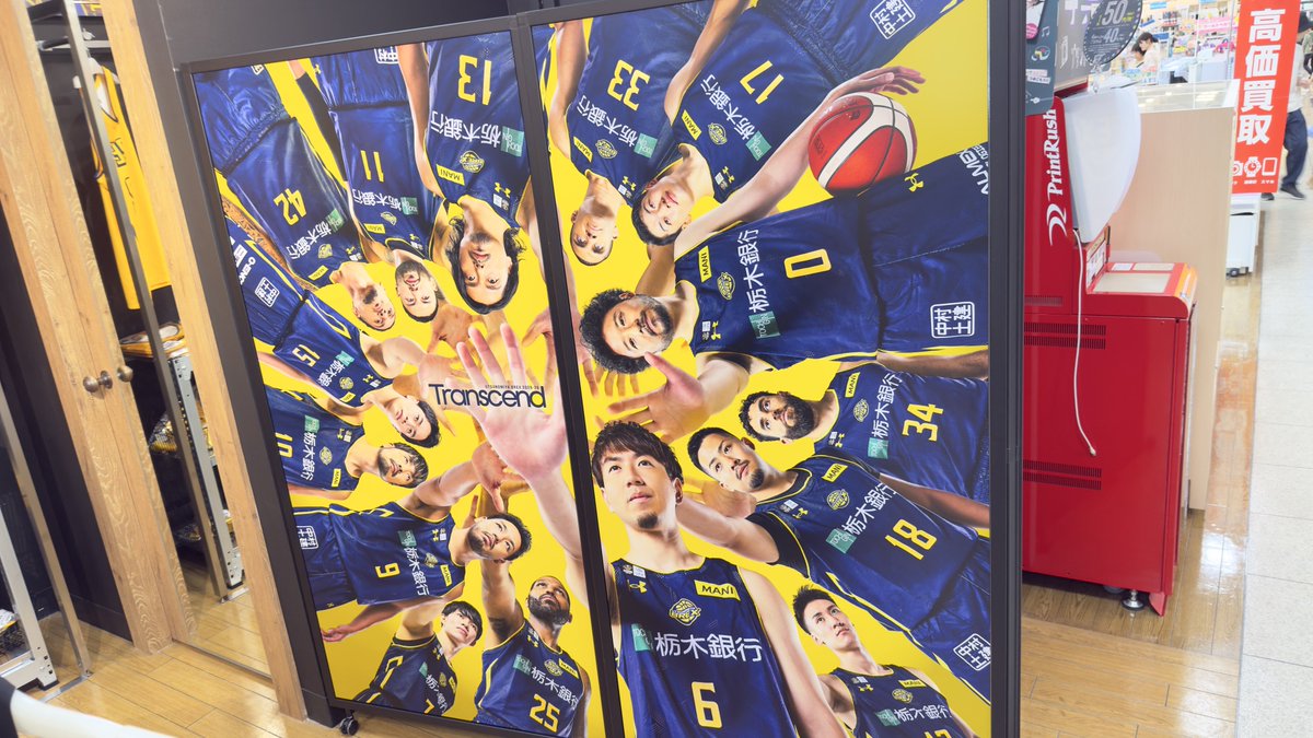 ゴマすりブレッキー🧸#Transcend #宇都宮ブレックス