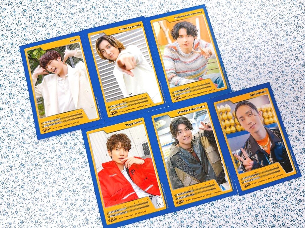 ジャニーズグッズ 色々 ジャニランド/スタランド┃公式ジャニーズグッズの中古販売