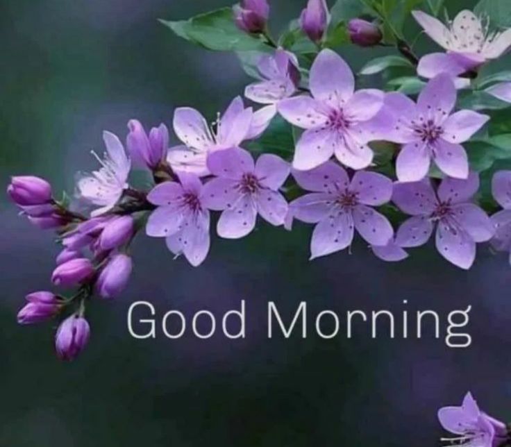 𝓙𝓾𝓵𝓲𝓪𝓷𝓪 (@jill0142) on Twitter photo People in power colluding with people with money!! No wonder this case is delayed!!
Politician BW Nexus InSSRCase
<a href="/CBIHeadquarters/">Central Bureau of Investigation (India)</a>
<a href="/HMOIndia/">गृहमंत्री कार्यालय, HMO India</a>
#JusticeForSushantSinghRajput People in power colluding with people with money!! No wonder this case is delayed!!
Politician BW Nexus InSSRCase
<a href="/CBIHeadquarters/">Central Bureau of Investigation (India)</a>
<a href="/HMOIndia/">गृहमंत्री कार्यालय, HMO India</a>
#JusticeForSushantSinghRajput