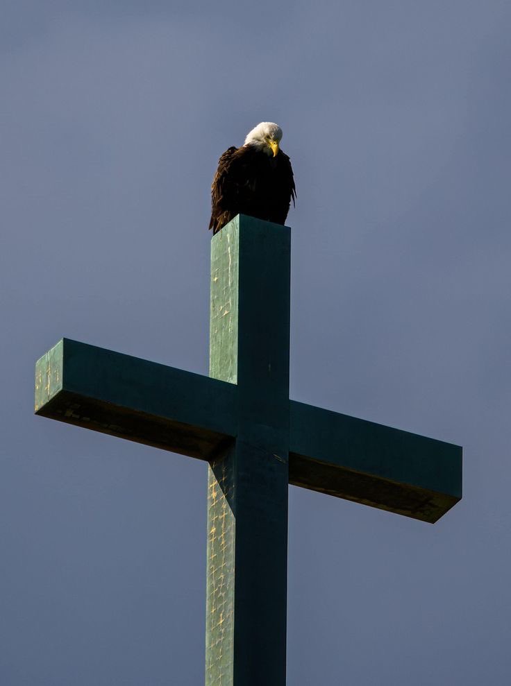 OldGloryClub's tweet image. Goodnight Patriots.

Go to Church tomorrow.