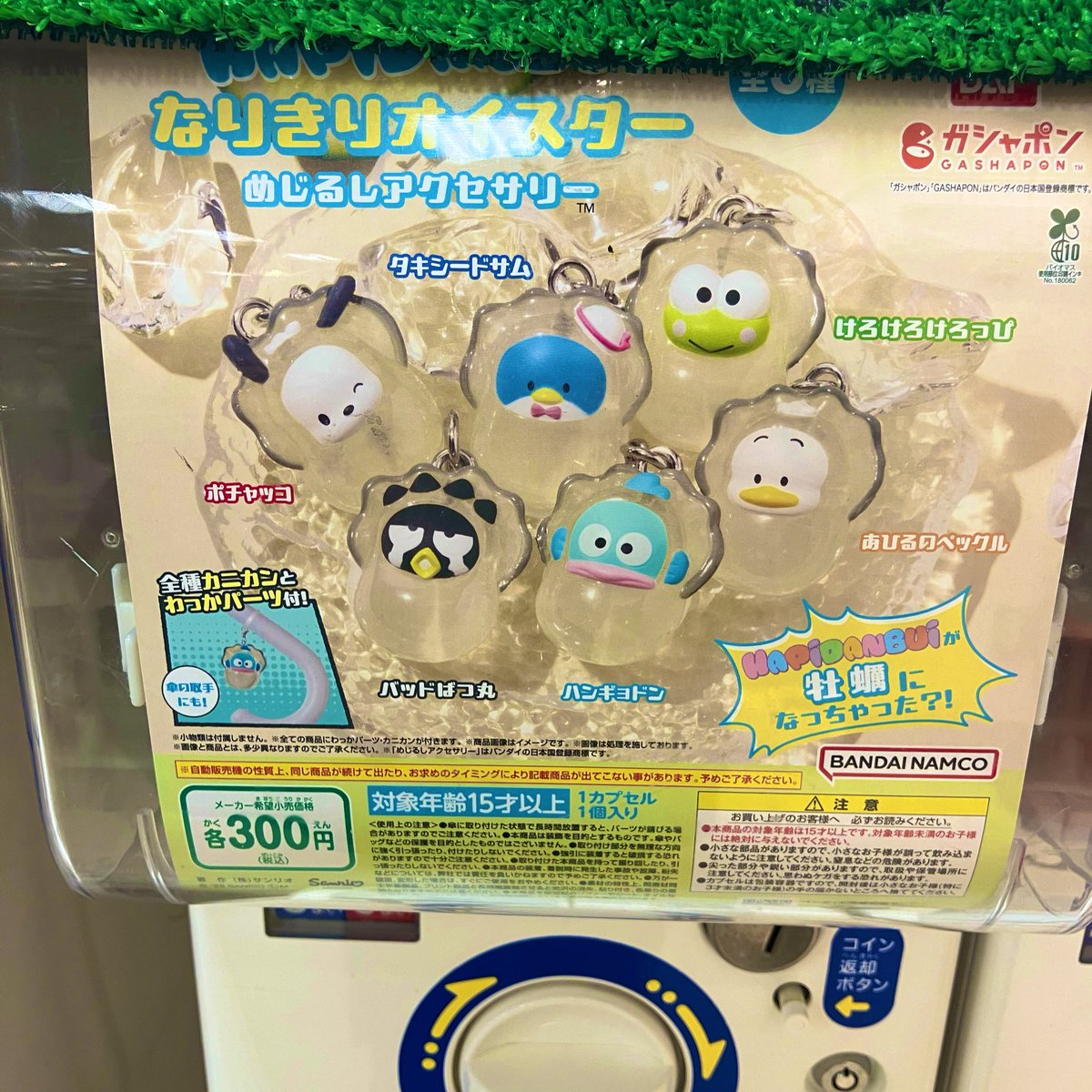 nekodon22's tweet image. ハンギョドン出るまでやったら、結果的に6回まわして6種コンプリ！！ラッキー✌️

#ハンギョドン
#なりきりオイスター