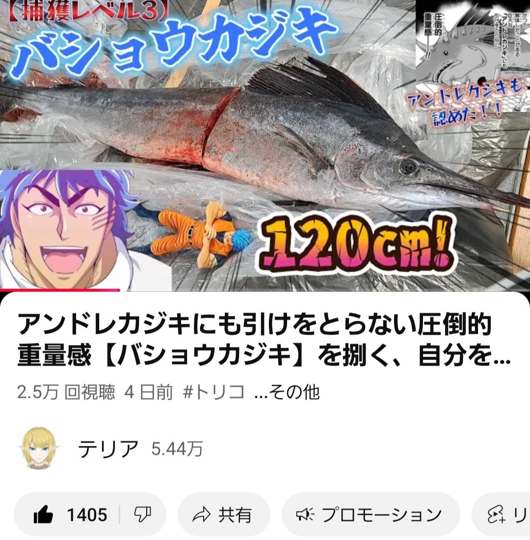 バショウカジキの高評価1405！ 感謝❗❗ これは皆さんが愛して止まない